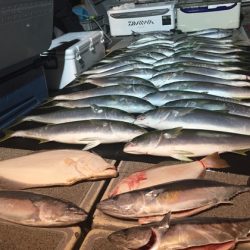 幸風（さちかぜ） 釣果