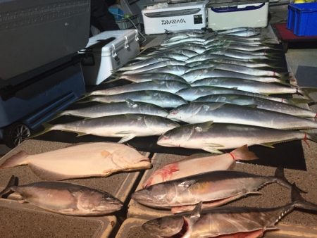 幸風（さちかぜ） 釣果