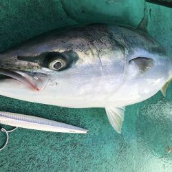 広進丸 釣果
