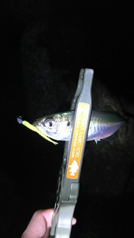 激シブアジング