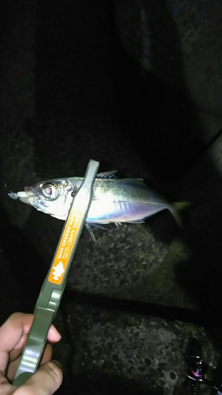 激シブアジング