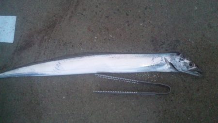 小雨でした！！