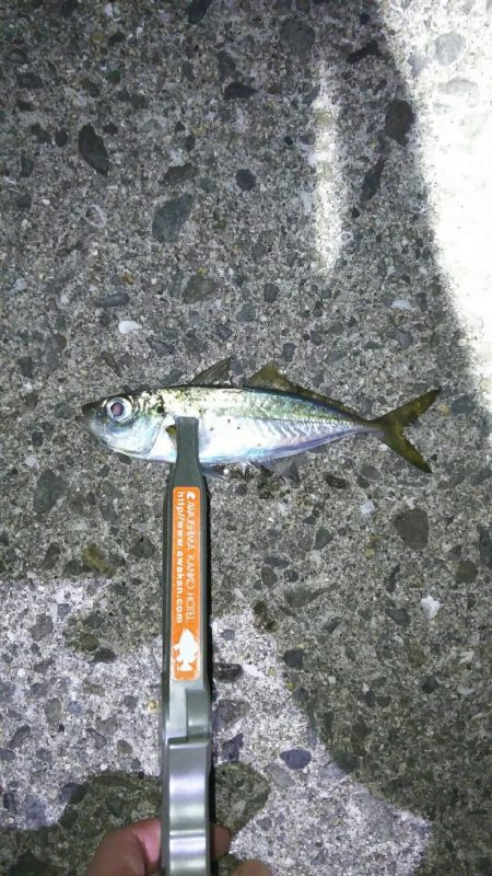 激シブアジング