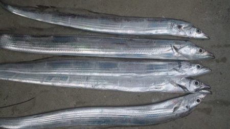 小雨でした！！