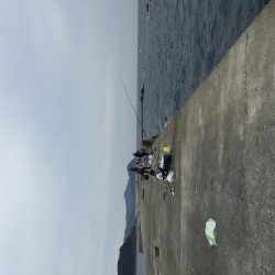 浜吉丸でいく小浦一文字10