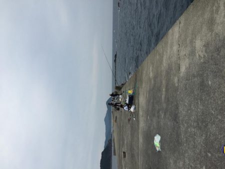 浜吉丸でいく小浦一文字10