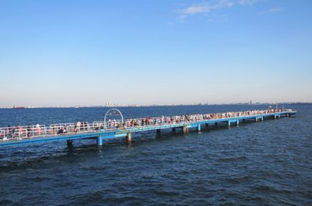 オリジナルメーカー海づり公園(市原市海づり施設) 釣果