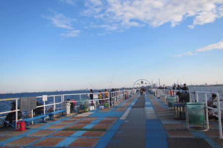 オリジナルメーカー海づり公園(市原市海づり施設) 釣果