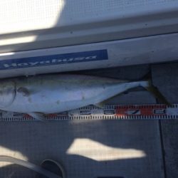 シーモンキー 釣果