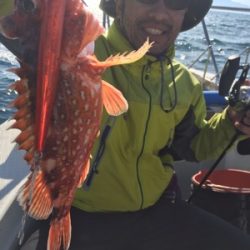 シーモンキー 釣果