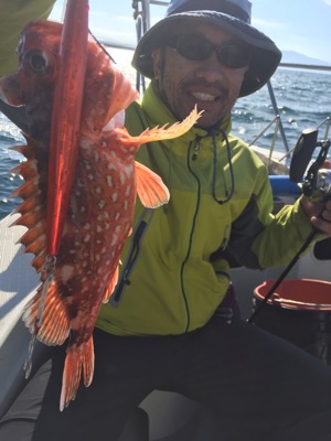 シーモンキー 釣果