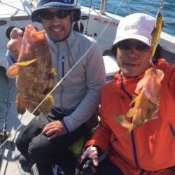 シーモンキー 釣果