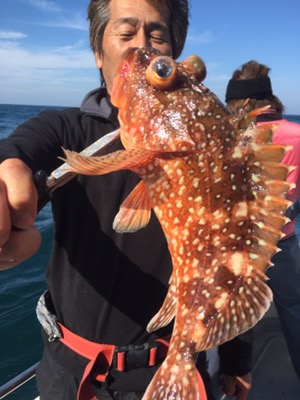 シーモンキー 釣果