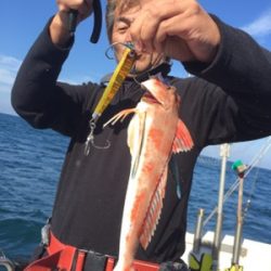 シーモンキー 釣果