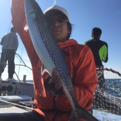 シーモンキー 釣果