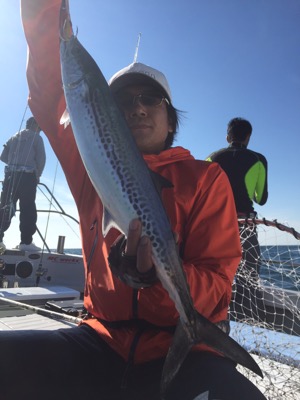 シーモンキー 釣果