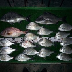 海山フィッシングセンター 釣果