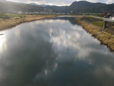 狩野川(狩野川漁業協同組合) 釣果