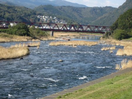 狩野川（狩野川漁業協同組合） 釣果