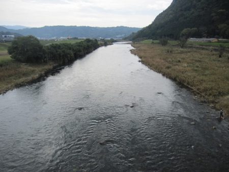 狩野川(狩野川漁業協同組合) 釣果