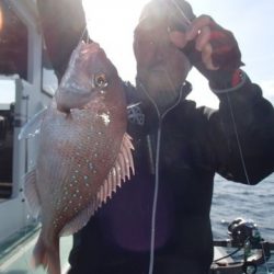 第二むつ漁丸 釣果