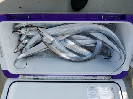 遊漁船　ニライカナイ 釣果