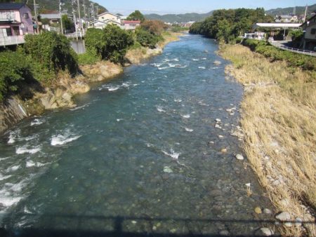 狩野川(狩野川漁業協同組合) 釣果