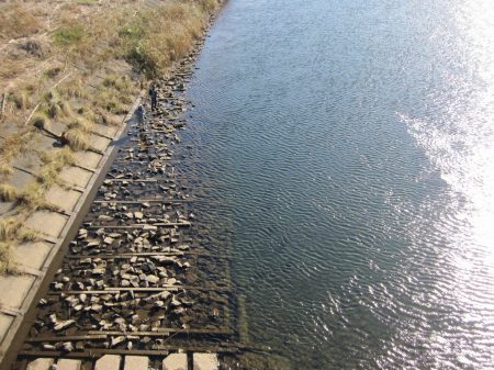狩野川（狩野川漁業協同組合） 釣果