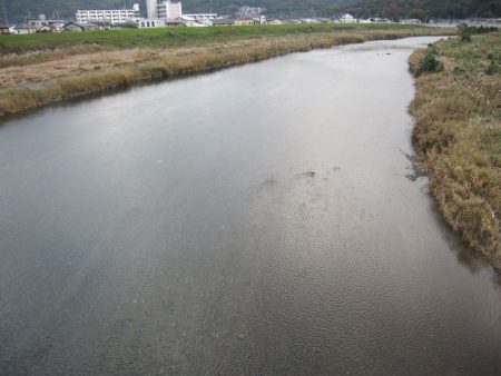 狩野川(狩野川漁業協同組合) 釣果