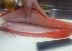ことぶき丸 釣果