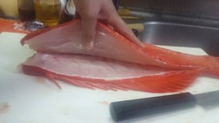 ことぶき丸 釣果