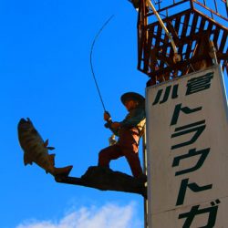 小菅トラウトガーデン 釣果