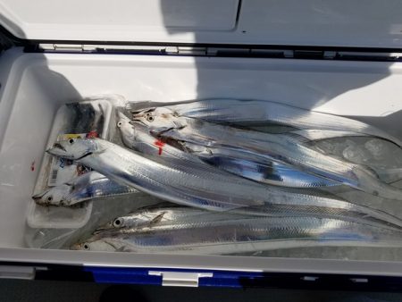 遊漁船　ニライカナイ 釣果