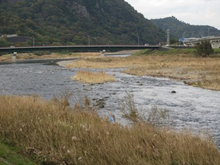 狩野川(狩野川漁業協同組合) 釣果