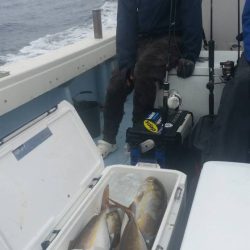 第五慶門丸 釣果