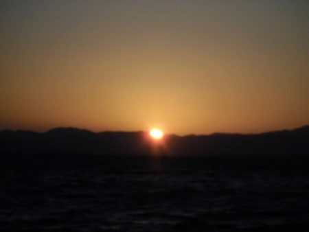 大進丸（新潟） 釣果