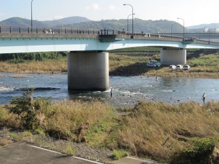 狩野川(狩野川漁業協同組合) 釣果