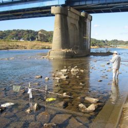 狩野川（狩野川漁業協同組合） 釣果