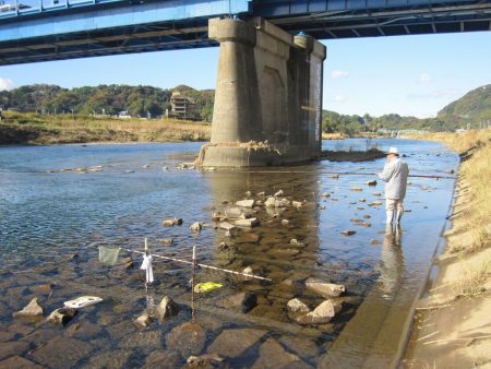 狩野川（狩野川漁業協同組合） 釣果