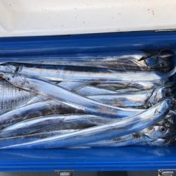 遊漁船高橋 釣果