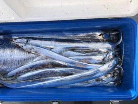 遊漁船高橋 釣果