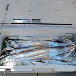 遊漁船 ニライカナイ 釣果