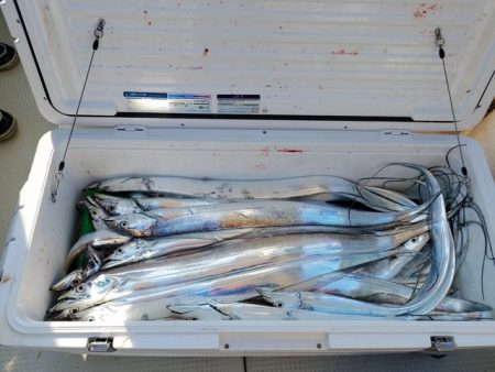 遊漁船 ニライカナイ 釣果