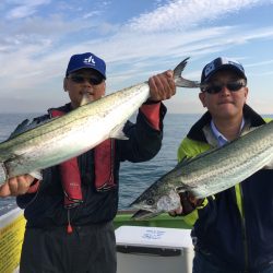 深川 吉野屋 釣果