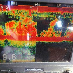 深川 吉野屋 釣果