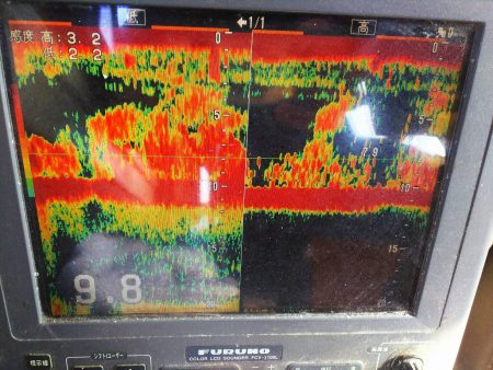 深川 吉野屋 釣果