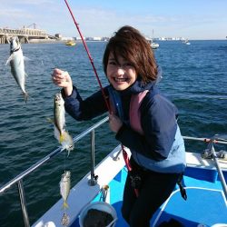 深川　吉野屋 釣果