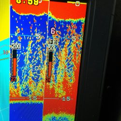 深川　吉野屋 釣果