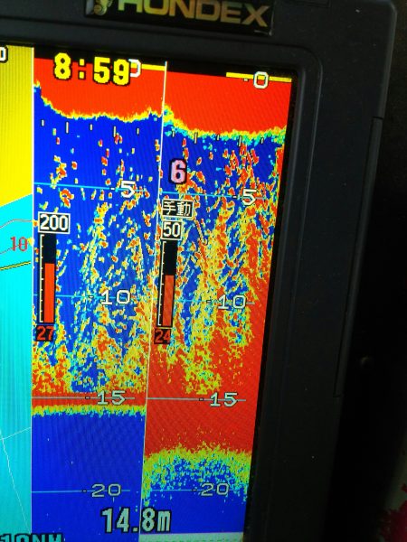 深川　吉野屋 釣果