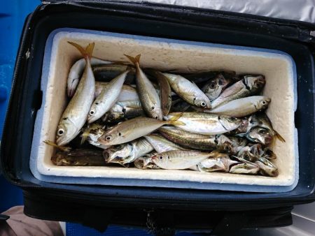 深川 吉野屋 釣果